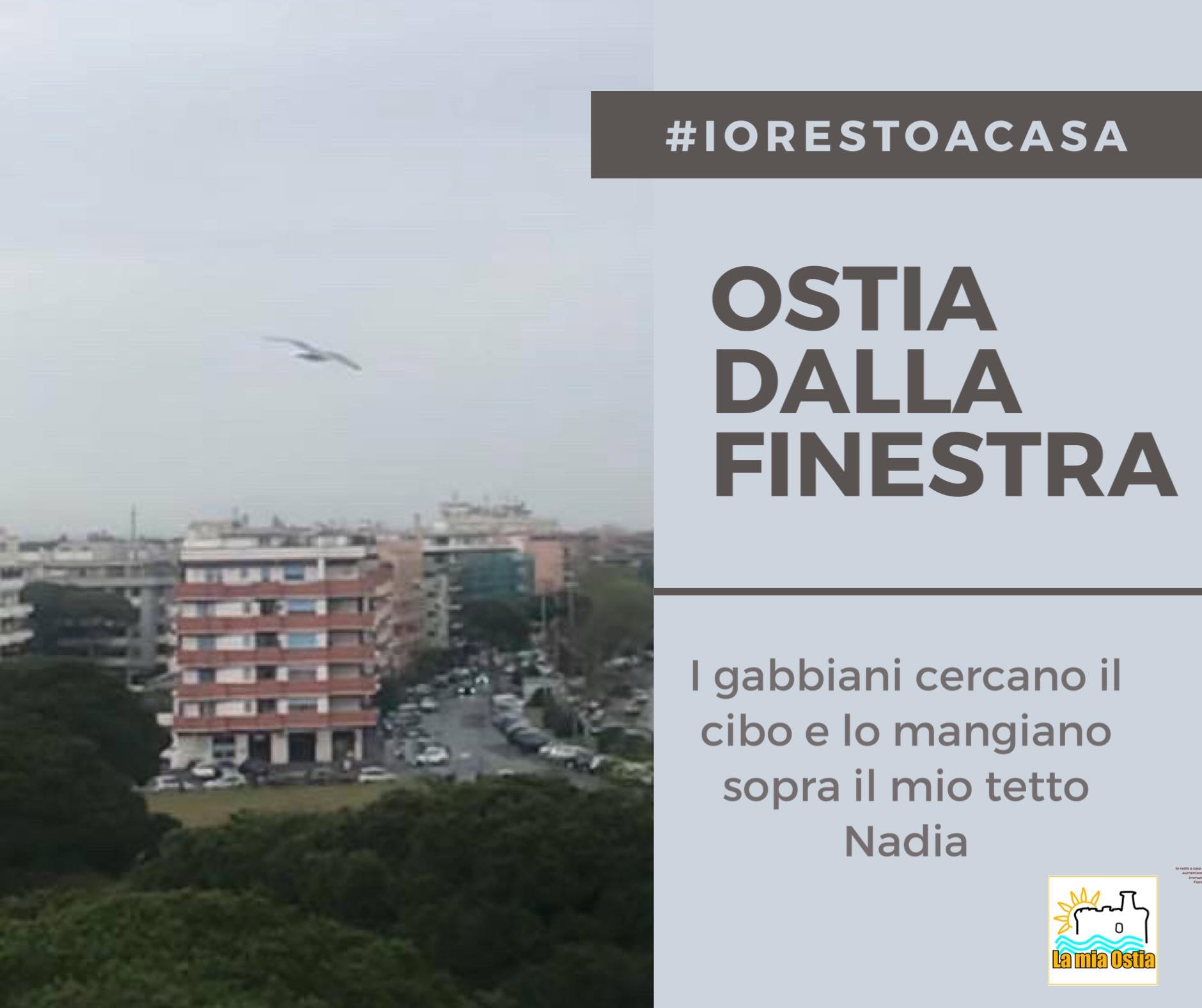 Ostia dalla finestra: mese di aprile